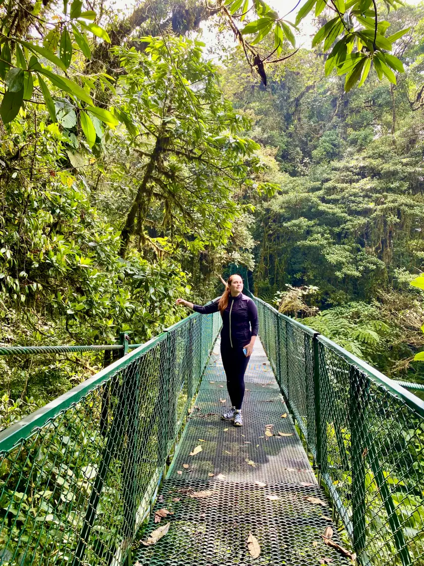 The international connection - Sofia