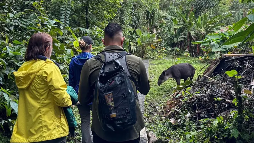 Wellness and Healing Retreat in the Costa Rican Rainforest