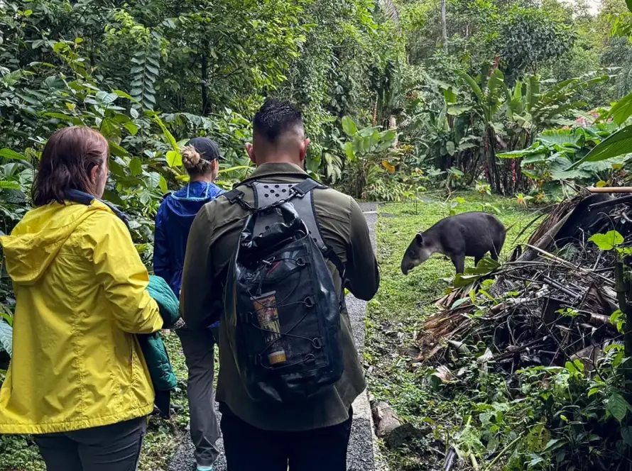 Wellness and Healing Retreat in the Costa Rican Rainforest