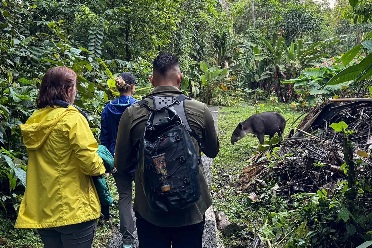 Wellness and Healing Retreat in the Costa Rican Rainforest